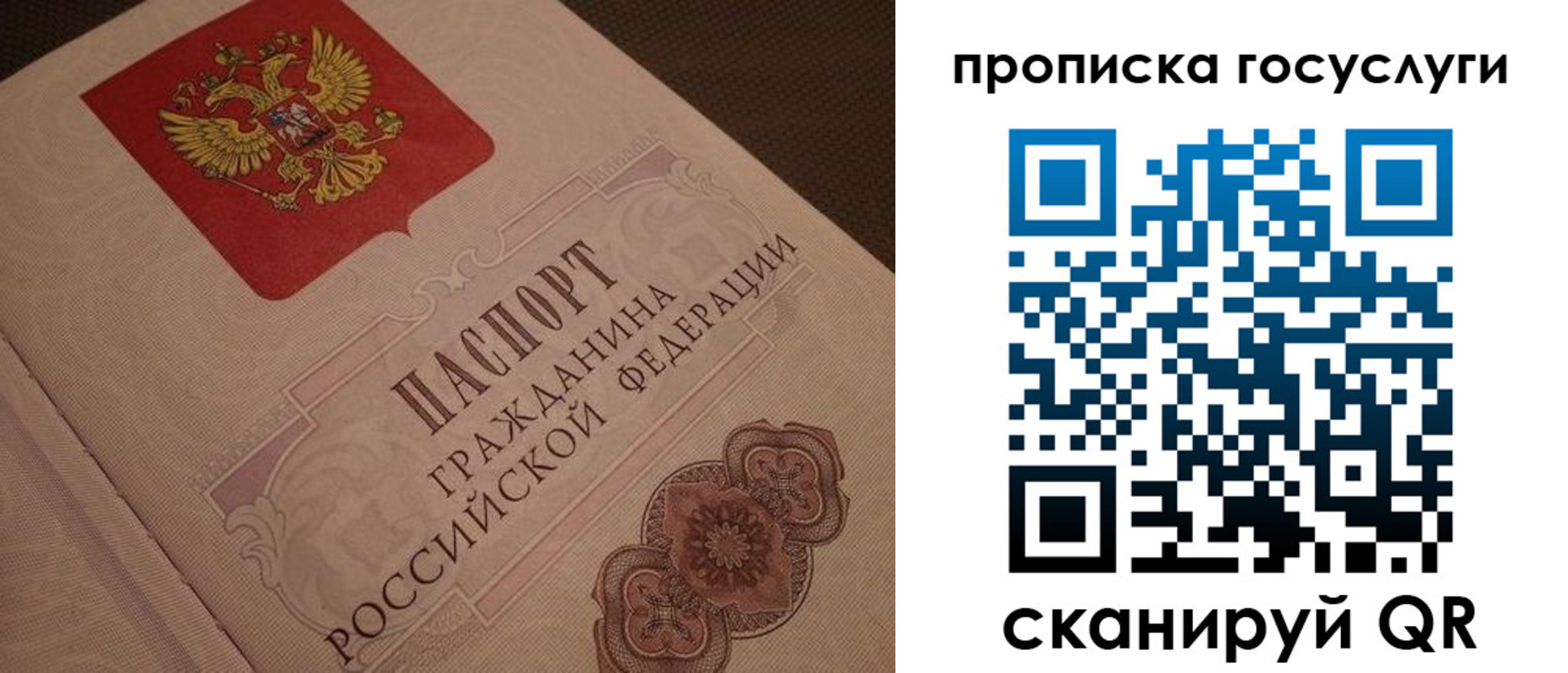 прописка для работы в Краснодаре